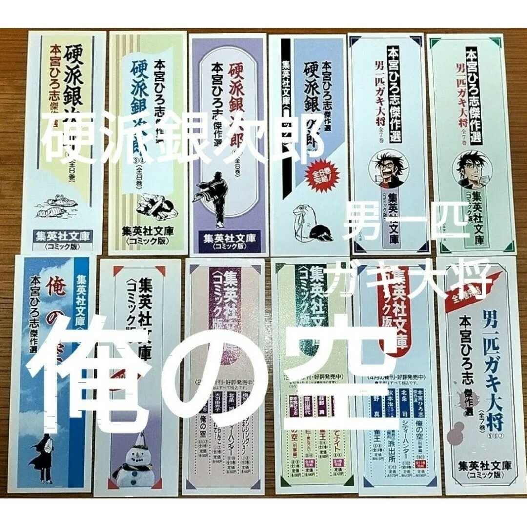 栞集英社文庫本宮ひろ志サラリーマン金太郎天地を喰らう赤龍王初版限定しおり エンタメ/ホビーの漫画(その他)の商品写真