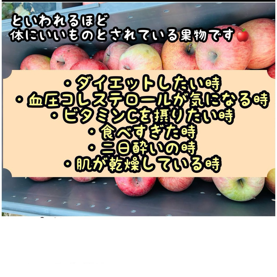 長野県産りんご　ふじ　約９キロ　お得　格安　フルーツ 食品/飲料/酒の食品(フルーツ)の商品写真