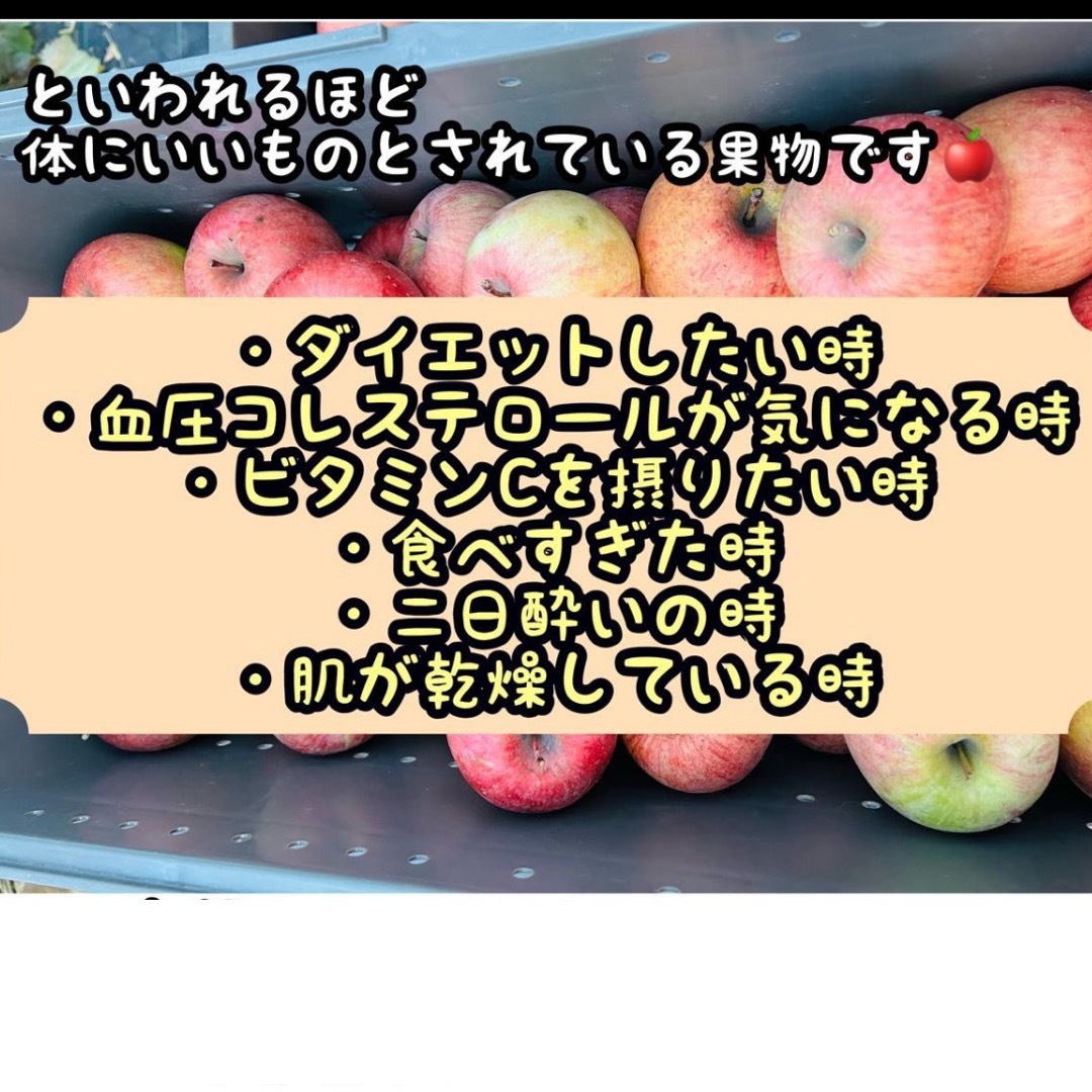 長野県産りんご　ふじ　約９キロ　お得　格安　フルーツ 食品/飲料/酒の食品(フルーツ)の商品写真