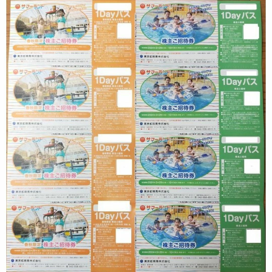 【送料無料】東京サマーランド 株主優待 8枚セット チケットの施設利用券(プール)の商品写真