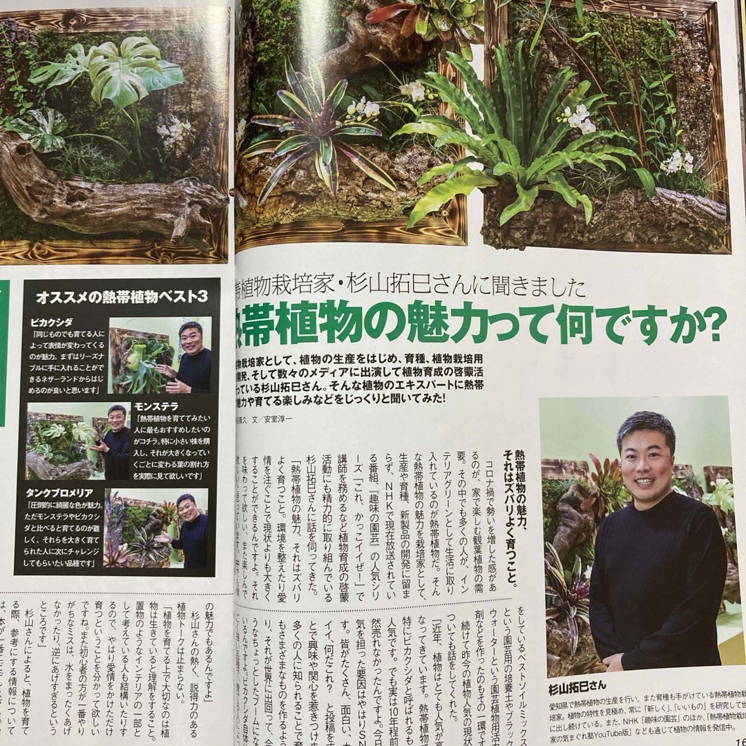 【匿名配送】mono (モノ) マガジン 2024年3/16号 道楽植物特集 エンタメ/ホビーの雑誌(その他)の商品写真