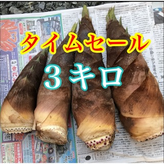 タケノコ　３キロ  米ぬか付き　タイムセール品(野菜)