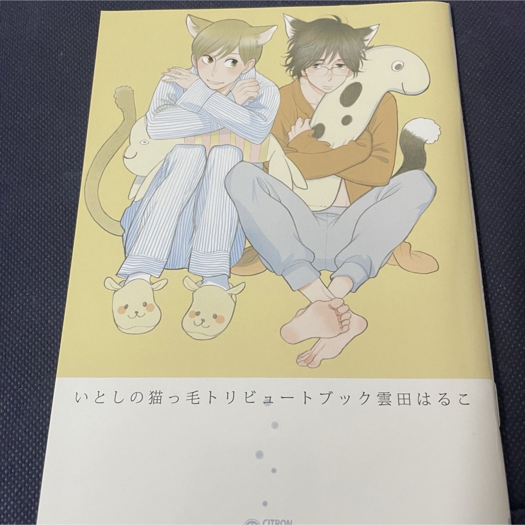 いとしの猫っ毛トリビュートブック エンタメ/ホビーの漫画(ボーイズラブ(BL))の商品写真