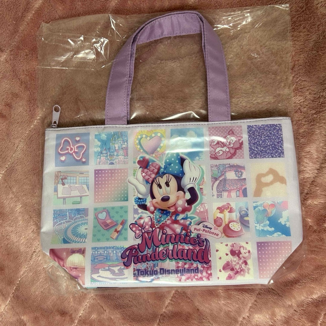 Disney(ディズニー)のディズニーランド　パルパルーザ　スーベニア レディースのバッグ(その他)の商品写真