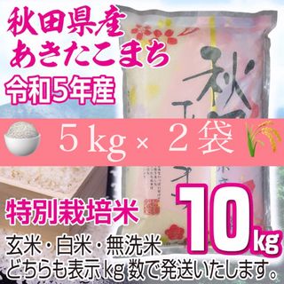 令和５年産 秋田県産 【特別栽培米】 あきたこまち１０kg 無洗米も対応(米/穀物)