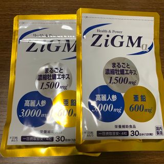 ZiGMa 2袋セット(その他)