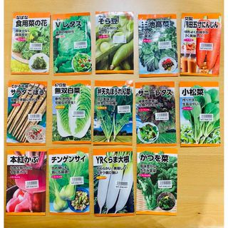 【新品】14袋まとめ売り☆ニチノウのタネ☆菜の花レタスそら豆高菜人参ごぼう白菜(その他)