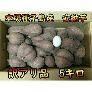 【完熟！】訳アリ品　安納芋紅（SMLサイズ混合）　5kg【本場種子島産】(野菜)