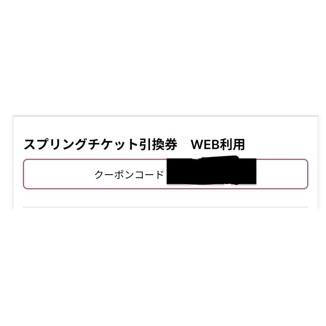 千葉ロッテマリーンズ(チバロッテマリーンズ)の千葉ロッテマリーンズ 2024 スプリングチケット WEB利用引換券 チケットのスポーツ(野球)の商品写真