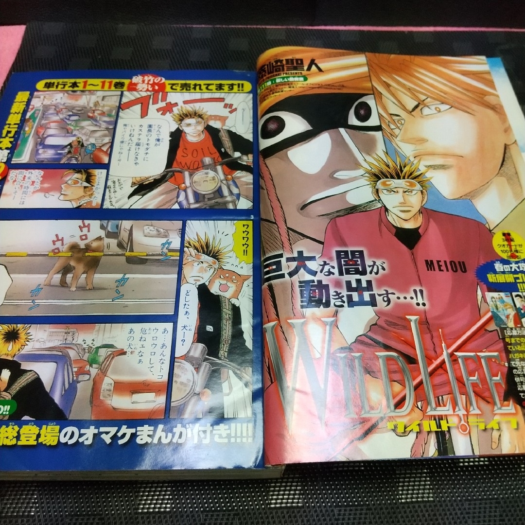 小学館(ショウガクカン)の週刊少年サンデー 2005年20号※ワイルドライフ 巻頭※メルヘヴンカード未開封 エンタメ/ホビーの漫画(少年漫画)の商品写真