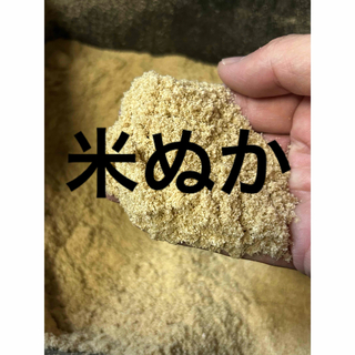 米ぬか　米糠　約２キロ（無農薬朝日米の）(米/穀物)