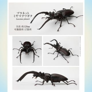 バンダイ(BANDAI)のいきもの大図鑑 くわがた 06 プラネットミヤマクワガタ 未使用品(その他)