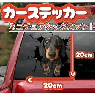カーステッカー 犬 ミニチュア ダックスフンド 3D シール かわいい(車外アクセサリ)