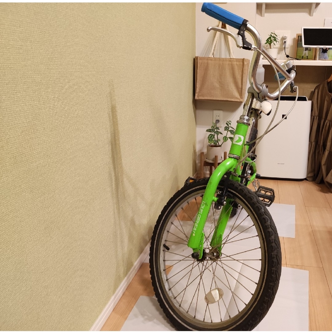 LOUIS GARNEAU(ルイガノ)の中古　ルイガノ　20インチ スポーツ/アウトドアの自転車(自転車本体)の商品写真