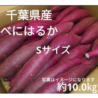 千葉県産　べにはるか　さつまいも　サツマイモ　Sサイズ　約10.0㎏(野菜)