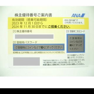 エーエヌエー(ゼンニッポンクウユ)(ANA(全日本空輸))のANA 株主優待券(鉄道乗車券)