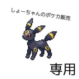 ポケモン(ポケモン)のいちろー様専用 ポケモンカード シマボシsr 2枚 (シングルカード)