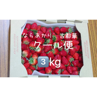 いちご　3kg 古都華　ならあかり　小粒　ジャム用　加工用　橋本農園　苺　イチゴ(フルーツ)