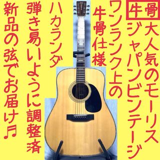 MORRIS - 【ハカランダ☆国産★牛骨☆縦ロゴ】MORRIS！W-50【弾き易く調整☆新品弦】