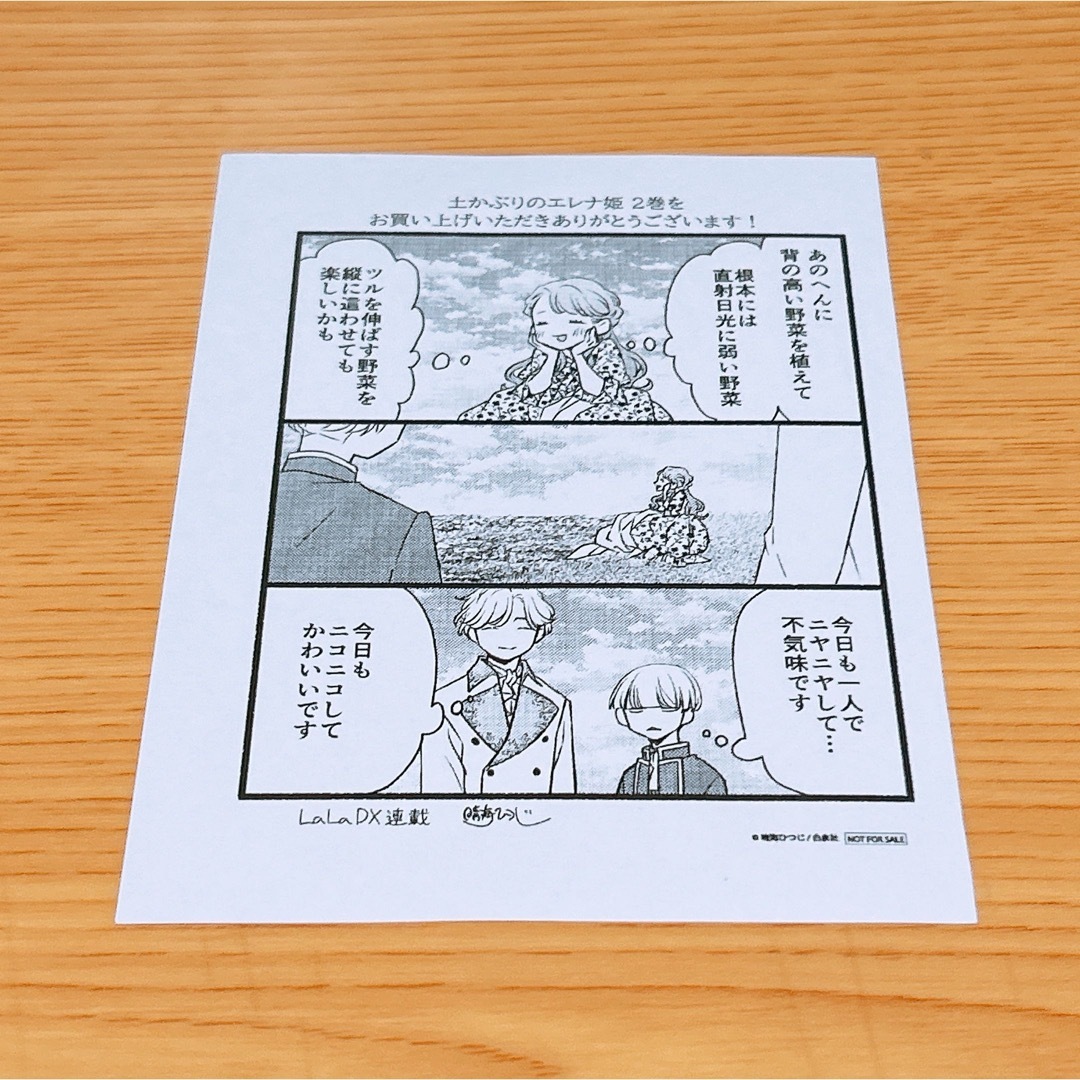 土かぶりのエレナ姫 特典 イラストペーパー エンタメ/ホビーのコレクション(印刷物)の商品写真