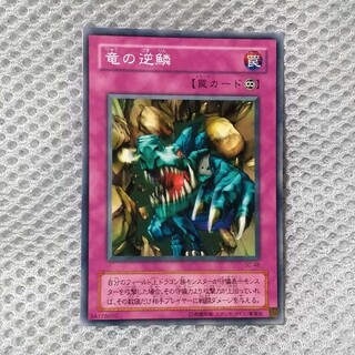 竜の逆鱗　遊戯王　カード(シングルカード)