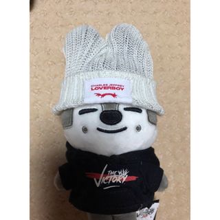 ストレイキッズ(Stray Kids)の【ハンドメイド】SKZOO plush mini ミニ ニット帽 ぬいぐるみ (ぬいぐるみ)