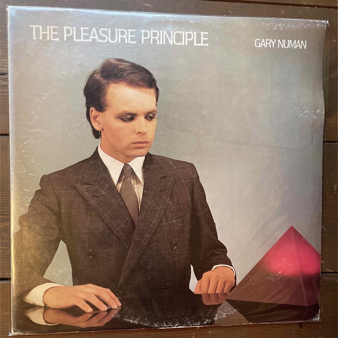 gary numan the pleasure principle LP エンタメ/ホビーのエンタメ その他(その他)の商品写真