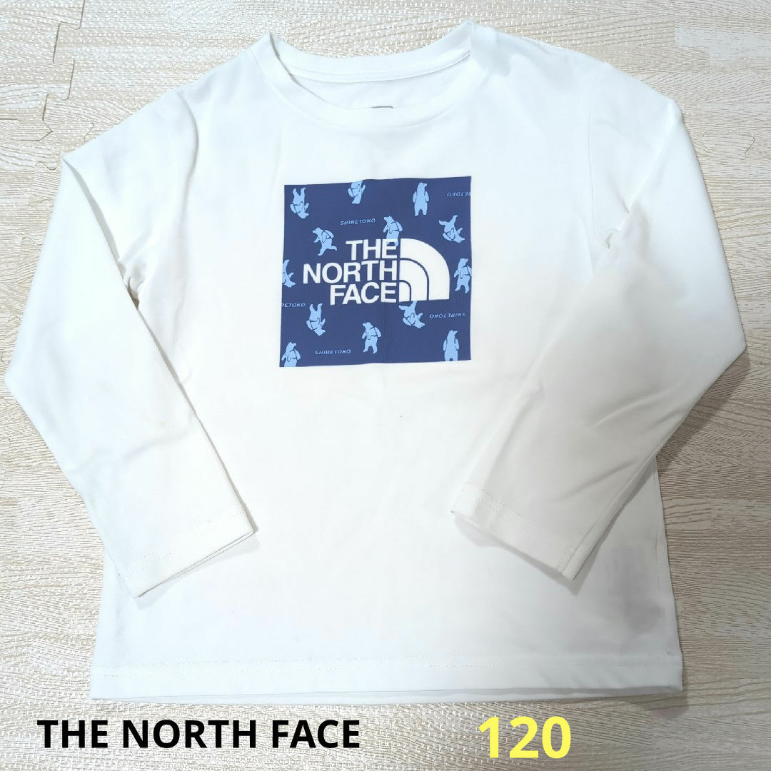 THE NORTH FACE(ザノースフェイス)のTHE NORTH FACE　ロンT　120 キッズ/ベビー/マタニティのキッズ服男の子用(90cm~)(Tシャツ/カットソー)の商品写真