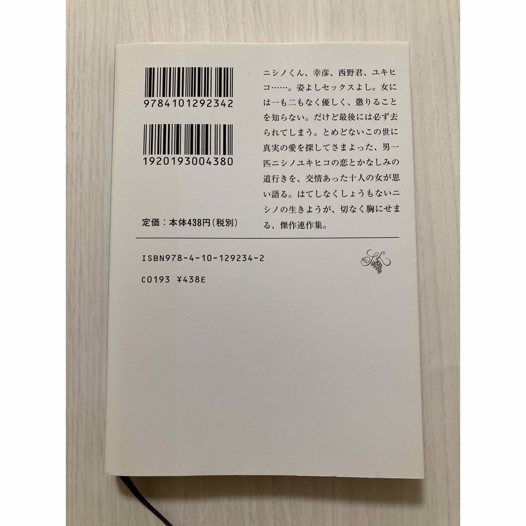 ニシノユキヒコの恋と冒険 エンタメ/ホビーの本(文学/小説)の商品写真