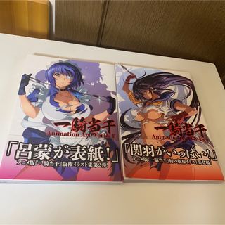 一騎当千 Animation Art Works I+II 画集 2冊セット(イラスト集/原画集)