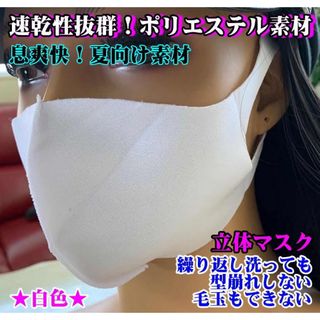 B   マスク　選べる色10点セット　白　新品　フリーサイズ　男女兼用(防災関連グッズ)