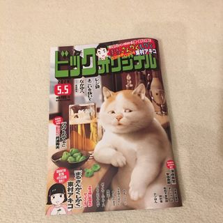 ショウガクカン(小学館)の||||(青年漫画)