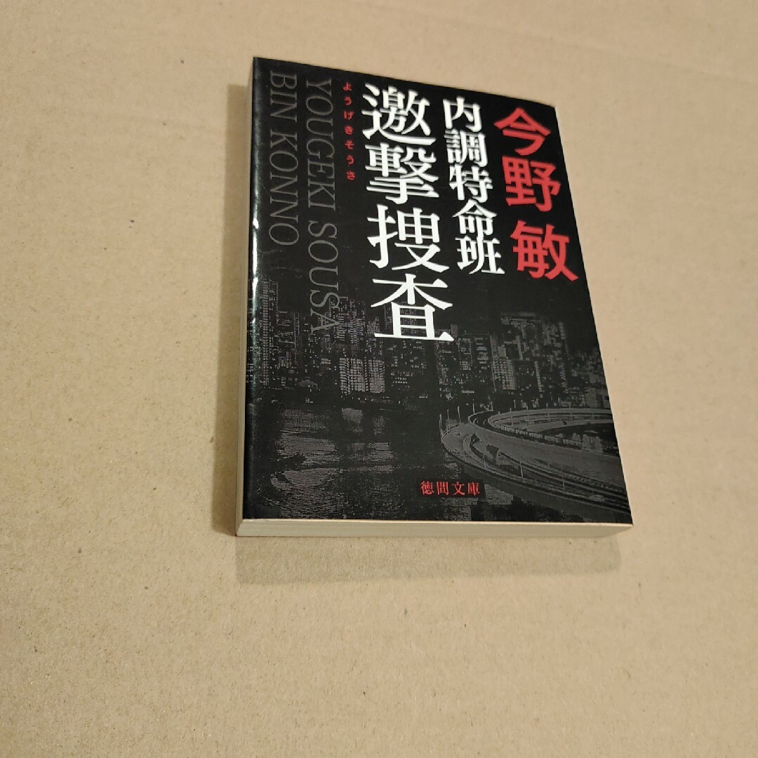 内調特命班邀撃捜査 エンタメ/ホビーの本(その他)の商品写真