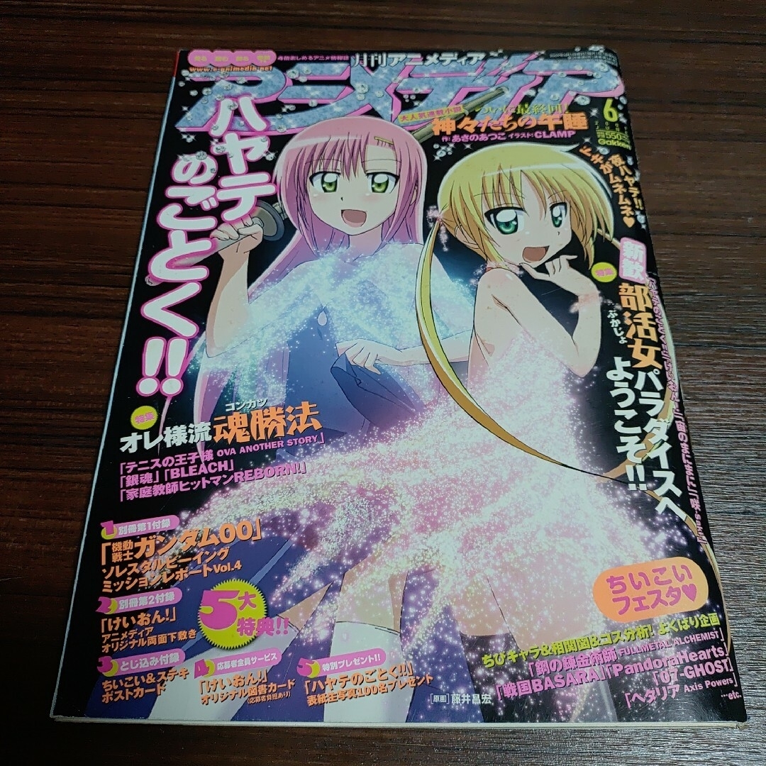 付録付き　2009年６月号　月刊アニメディア エンタメ/ホビーの雑誌(アニメ)の商品写真