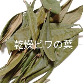 乾燥　ビワの葉　20g　匿名配送　枇杷の葉　びわの葉　琵琶　ビワ(その他)