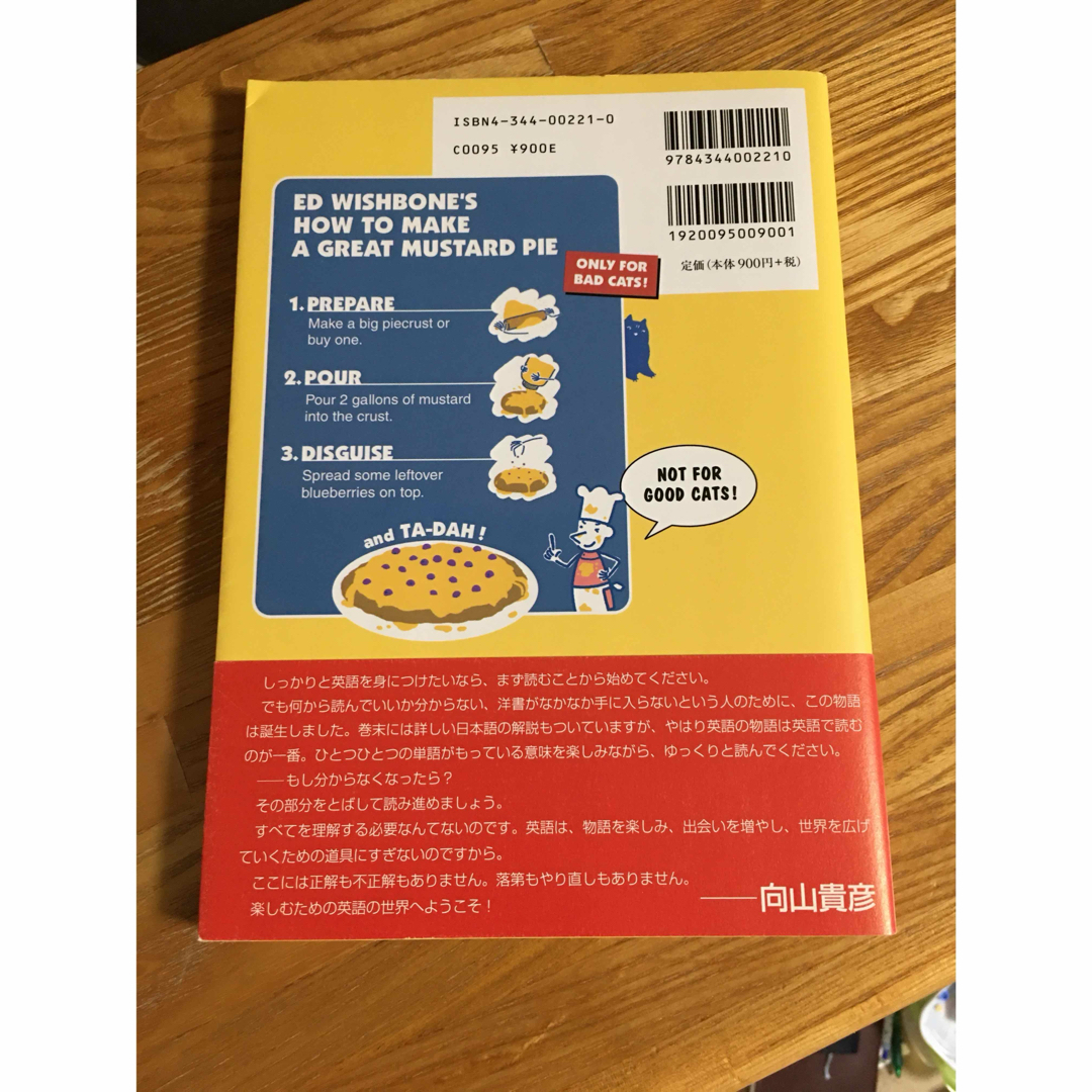 ビッグファットキャット エンタメ/ホビーの本(語学/参考書)の商品写真