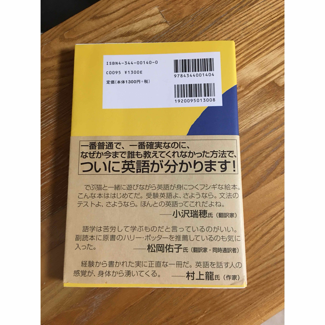 ビッグファットキャット エンタメ/ホビーの本(語学/参考書)の商品写真