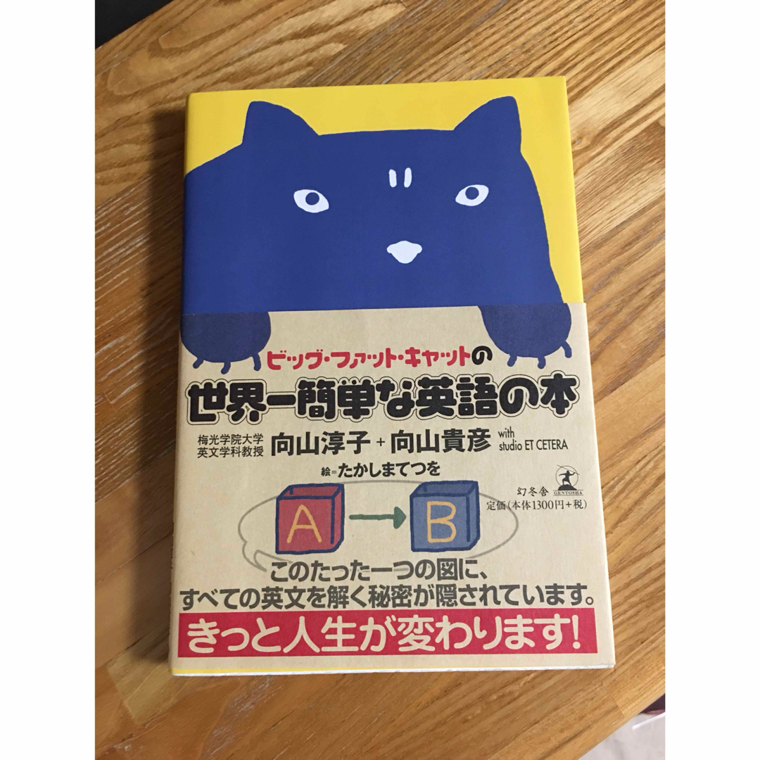 ビッグファットキャット エンタメ/ホビーの本(語学/参考書)の商品写真