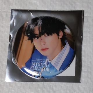 アストロ(ASTRO)のASTRO チャウヌ　mystery elevator　缶バッジ(アイドルグッズ)