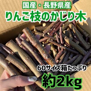 かじり木　りんごの枝　2kg