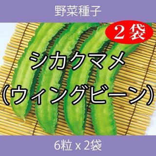 野菜種子 EBC シカクマメ（ウィングビーン） 6粒 x 2袋(野菜)