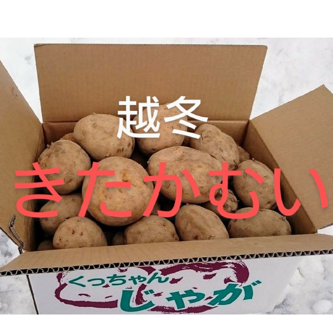 北海道産　越冬じゃが芋　きたかむい20キロ 食品/飲料/酒の食品(野菜)の商品写真