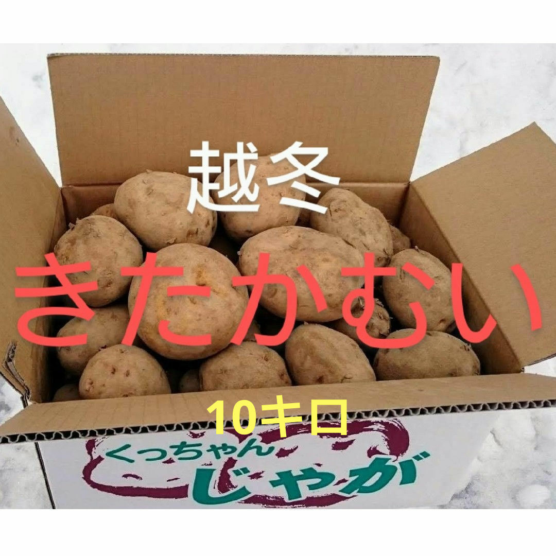 北海道産　越冬じゃが芋　きたかむい10キロ 食品/飲料/酒の食品(野菜)の商品写真