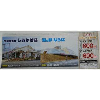 しおかぜ荘 道の駅ならは 日帰り入浴 割引券(その他)