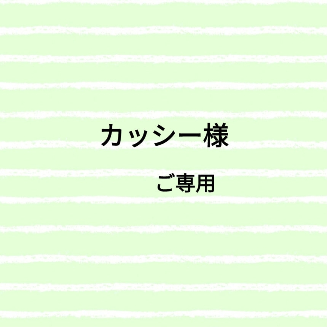 カッシー様ご専用です。 ハンドメイドのアクセサリー(チャーム)の商品写真