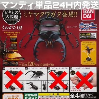 [マンディブラリス単品]いきもの大図鑑　くわがた02 ガシャポン　ガチャ(その他)