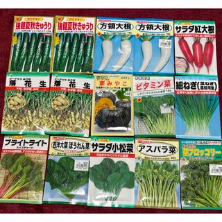 野菜の種　きゅうり2袋(野菜)