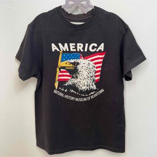 THE SHINZONE AMERICAN EAGLE Tシャツ
