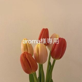 aroma様専用(化粧水/ローション)