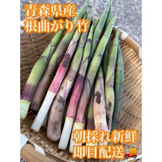 最速青森県産　根曲がり竹❗️ 朝採れ新鮮即日配送❗️(野菜)